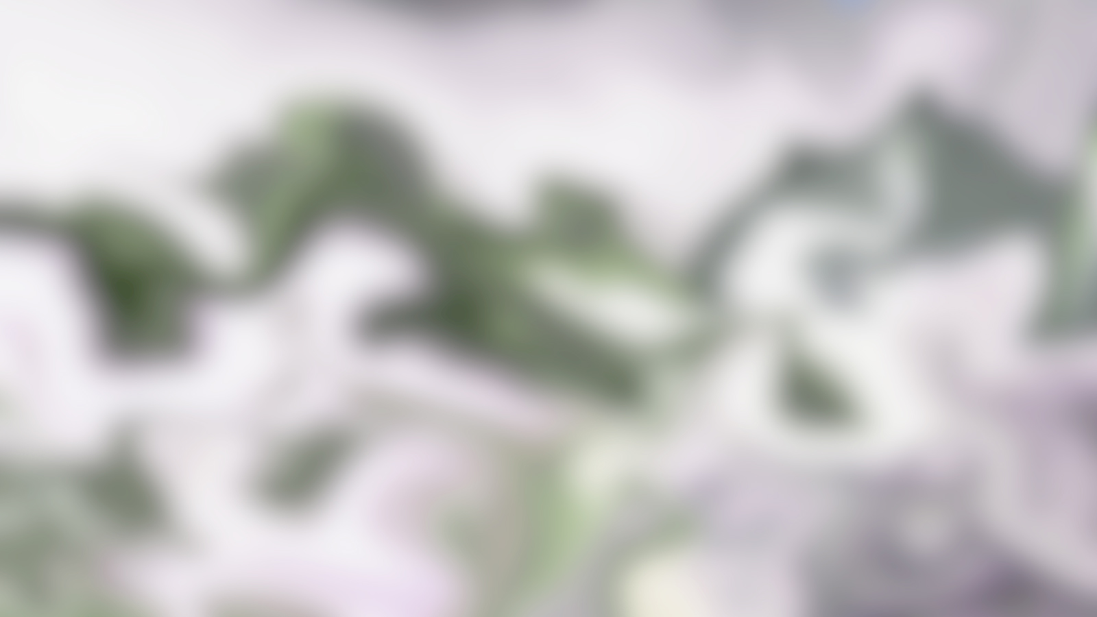 video_